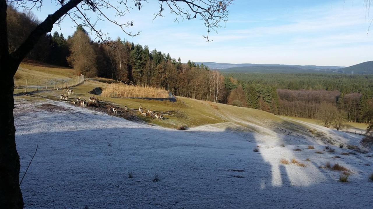 Ferienhaeuser Zur Schaeferei 米特威茨 外观 照片